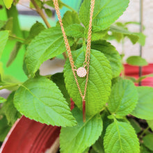 Load image into Gallery viewer, Rose Gold Disc and Bar Necklace with leaves in the background.