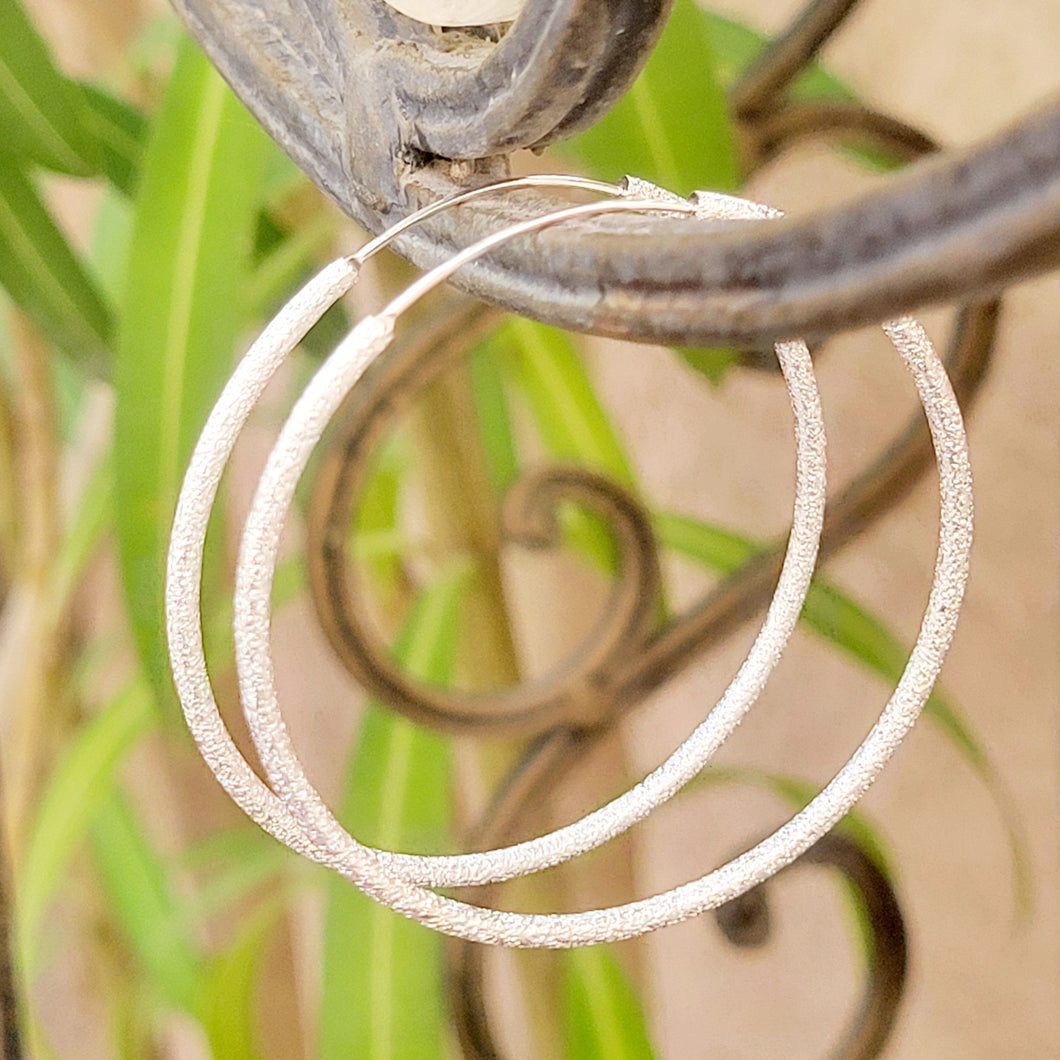 Shimmering Silver Hoop Earrings